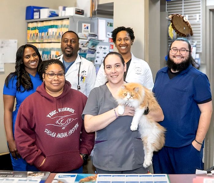 Your Friends At Dacula Animal Hospital Team
