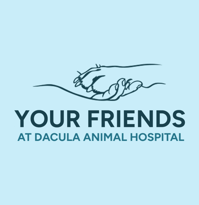 Line drawing of a human hand and a paw touching beside the text Your Friends at Dacula Animal Hospital on a light blue background