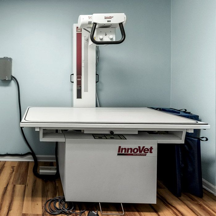 your friends at dacula animal hospital x-ray room