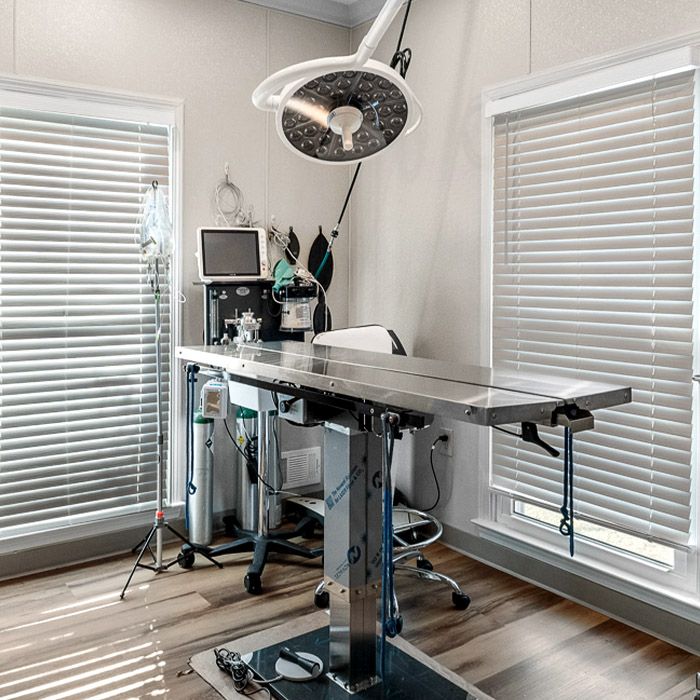 your friends at dacula animal hospital surgery room