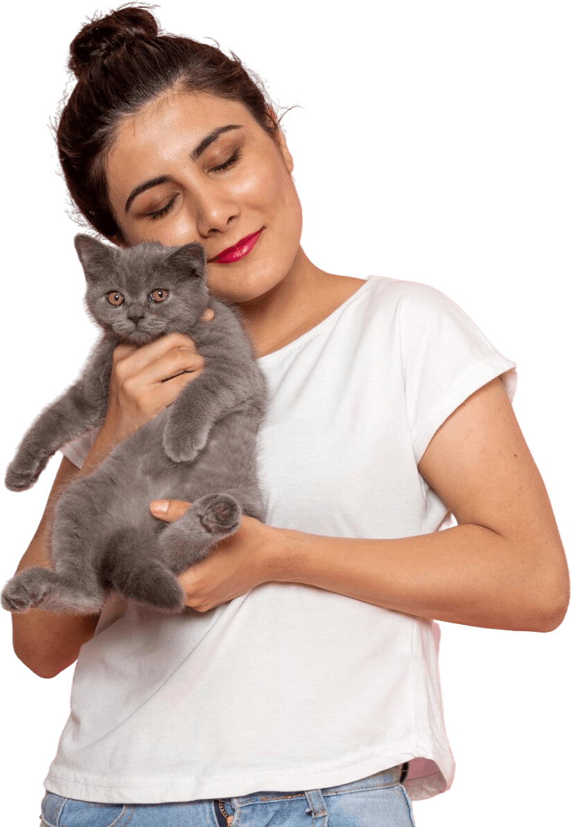 woman holding little cute gray kitten