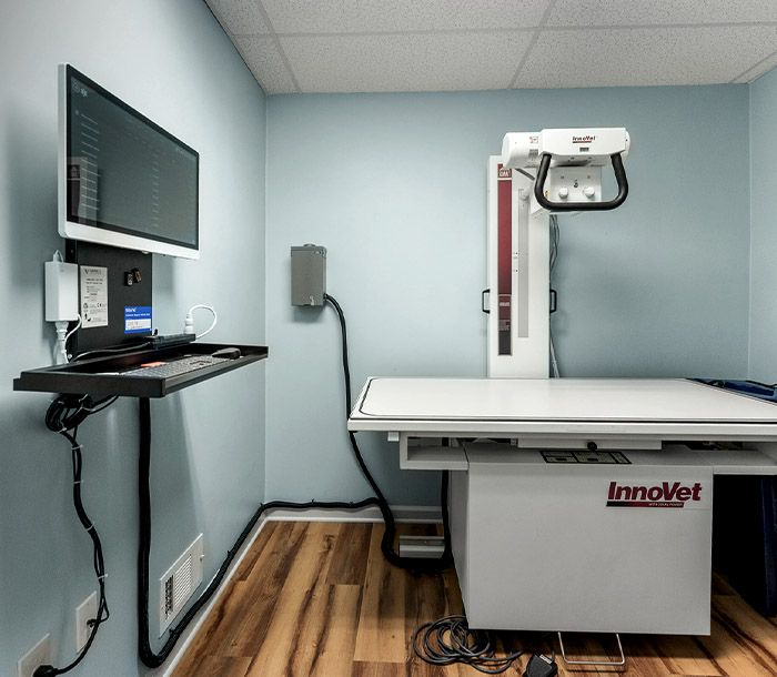 your friends at dacula animal hospital x-ray room
