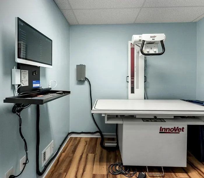 your friends at dacula animal hospital x-ray room