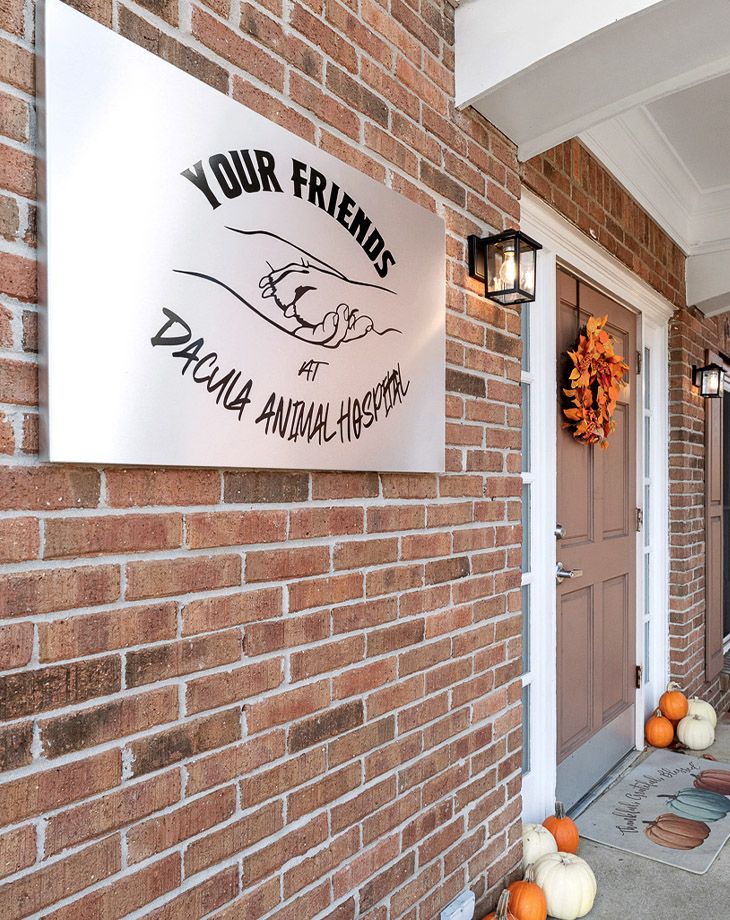 your friends at dacula animal hospital front