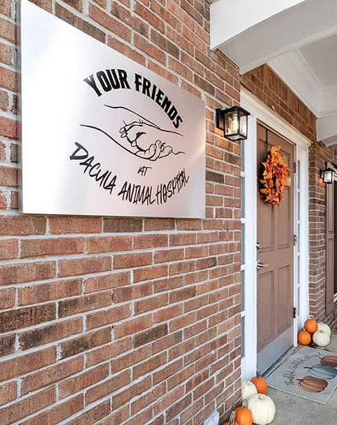 your friends at dacula animal hospital front