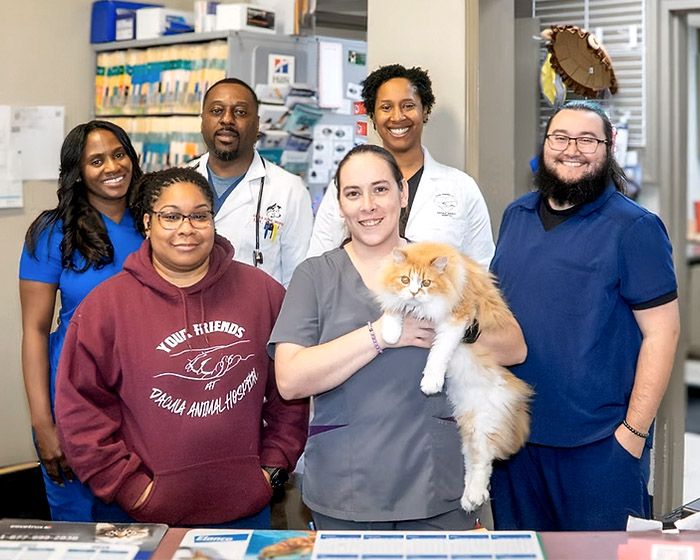 your friends at dacula animal hospital team